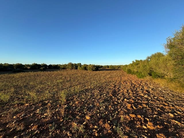 Tontti myytävänä paikassa Vilafranca de Bonany - 298 000 € (Ref: 9550920)