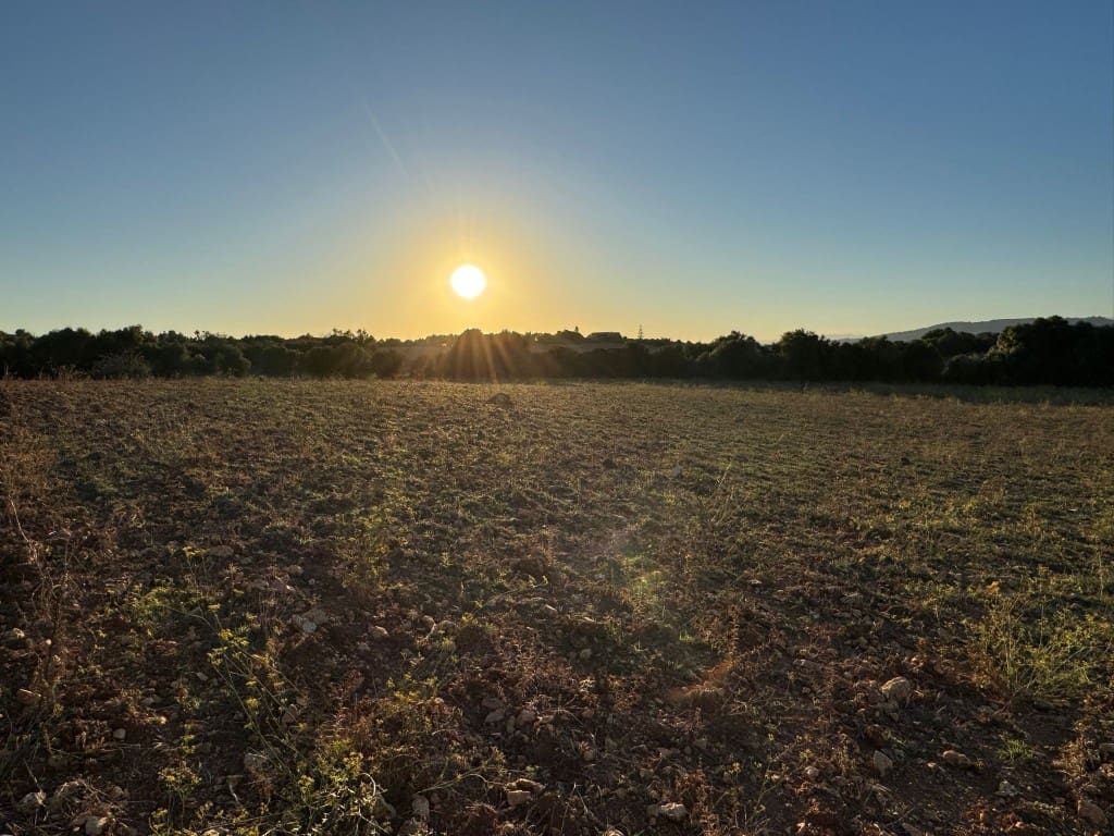 Tontti myytävänä paikassa Vilafranca de Bonany - 298 000 € (Ref: 9550920)