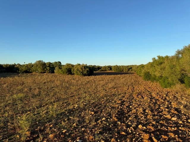 Tontti myytävänä paikassa Vilafranca de Bonany - 298 000 € (Ref: 9550920)