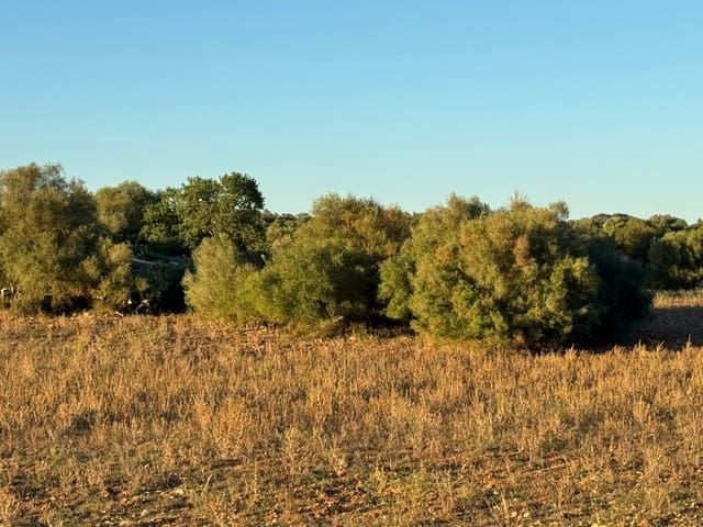 Tontti myytävänä paikassa Vilafranca de Bonany - 298 000 € (Ref: 9550920)