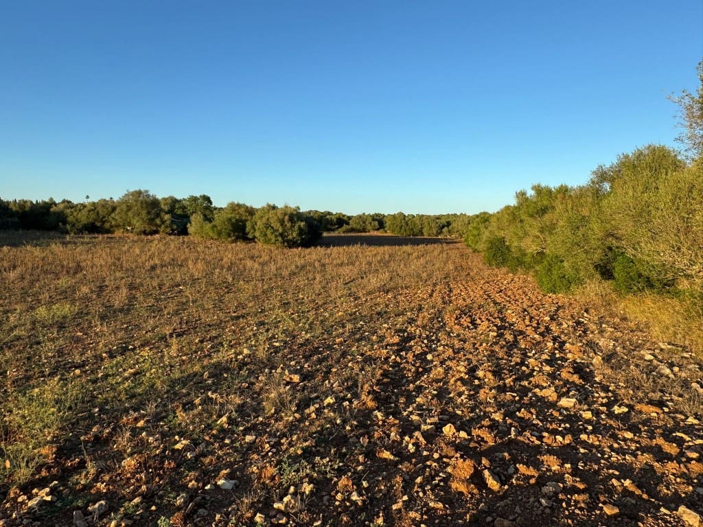 Tontti myytävänä paikassa Vilafranca de Bonany - 298 000 € (Ref: 9550920)