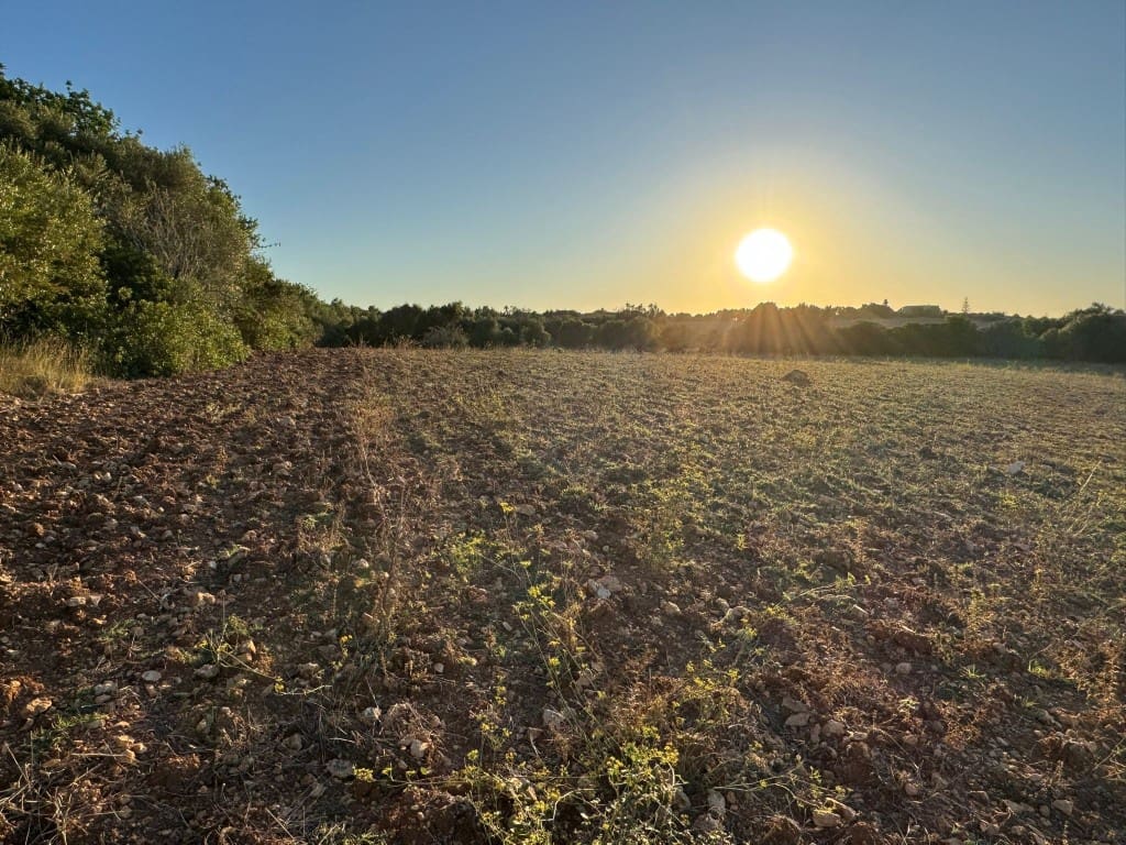 Tontti myytävänä paikassa Vilafranca de Bonany - 298 000 € (Ref: 9550920)