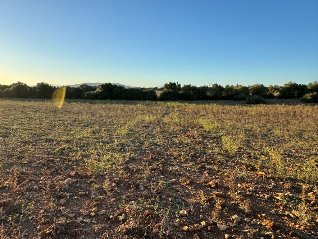 Tontti myytävänä paikassa Vilafranca de Bonany - 298 000 € (Ref: 9550920)