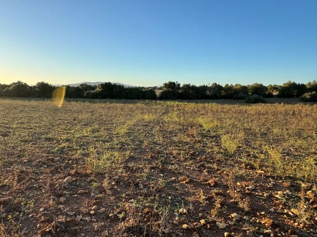 Tontti myytävänä paikassa Vilafranca de Bonany - 298 000 € (Ref: 9550920)