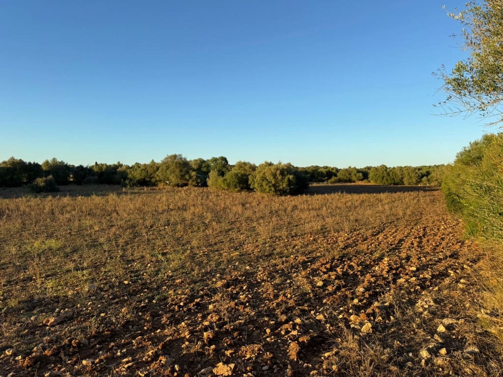 Tontti myytävänä paikassa Vilafranca de Bonany - 298 000 € (Ref: 9550920)