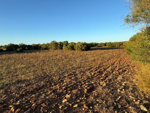 Tontti myytävänä paikassa Vilafranca de Bonany - 298 000 € (Ref: 9550920)