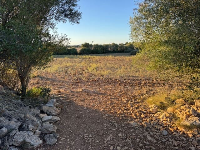 Tontti myytävänä paikassa Vilafranca de Bonany - 298 000 € (Ref: 9550920)