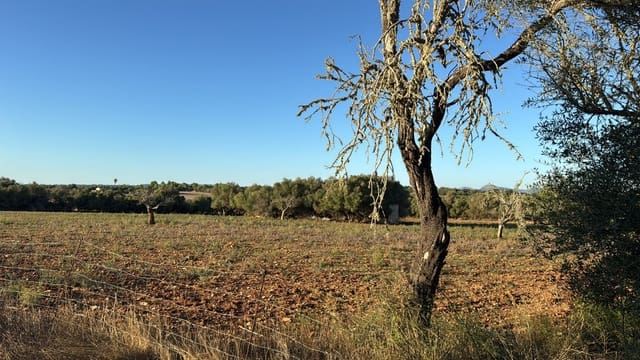 Tontti myytävänä paikassa Vilafranca de Bonany - 295 000 € (Ref: 9550921)