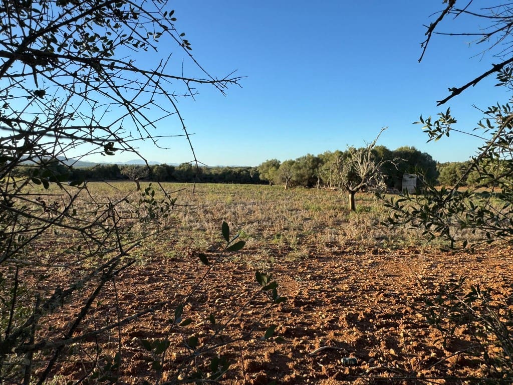 Tontti myytävänä paikassa Vilafranca de Bonany - 295 000 € (Ref: 9550921)