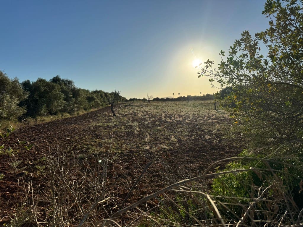 Tontti myytävänä paikassa Vilafranca de Bonany - 295 000 € (Ref: 9550921)