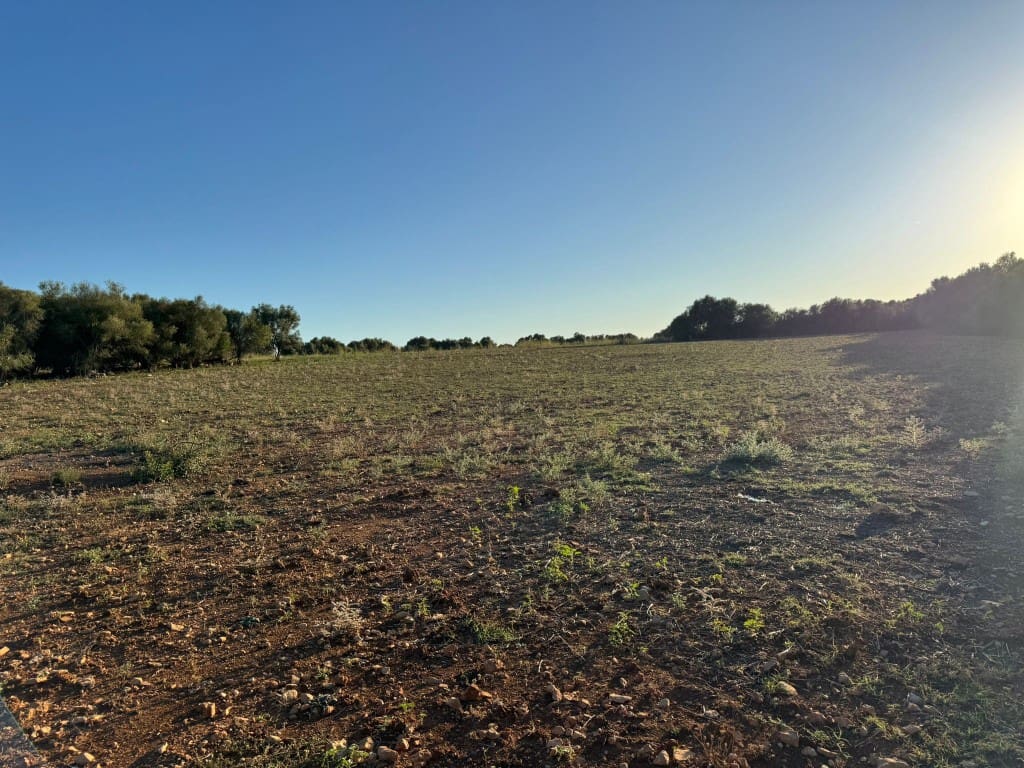 Tontti myytävänä paikassa Vilafranca de Bonany - 295 000 € (Ref: 9550921)