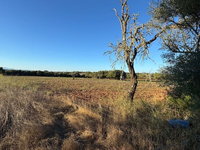 Tontti myytävänä paikassa Vilafranca de Bonany - 295 000 € (Ref: 9550921)