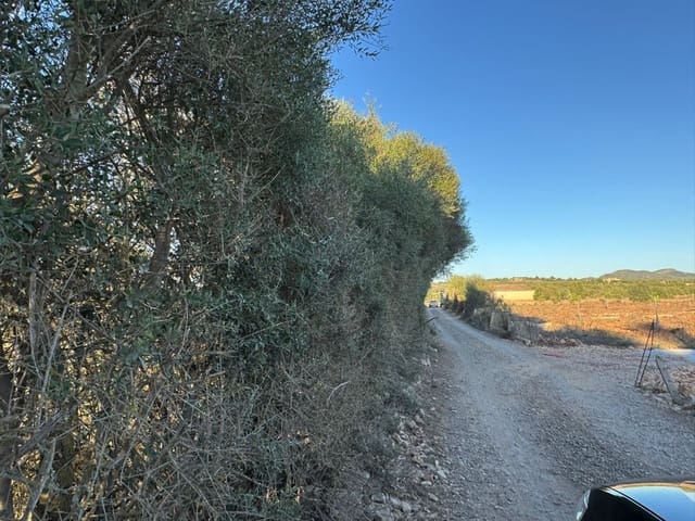 Tontti myytävänä paikassa Vilafranca de Bonany - 295 000 € (Ref: 9550921)