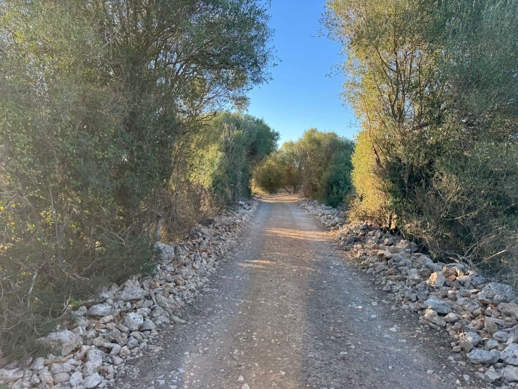 Tontti myytävänä paikassa Vilafranca de Bonany - 295 000 € (Ref: 9550921)