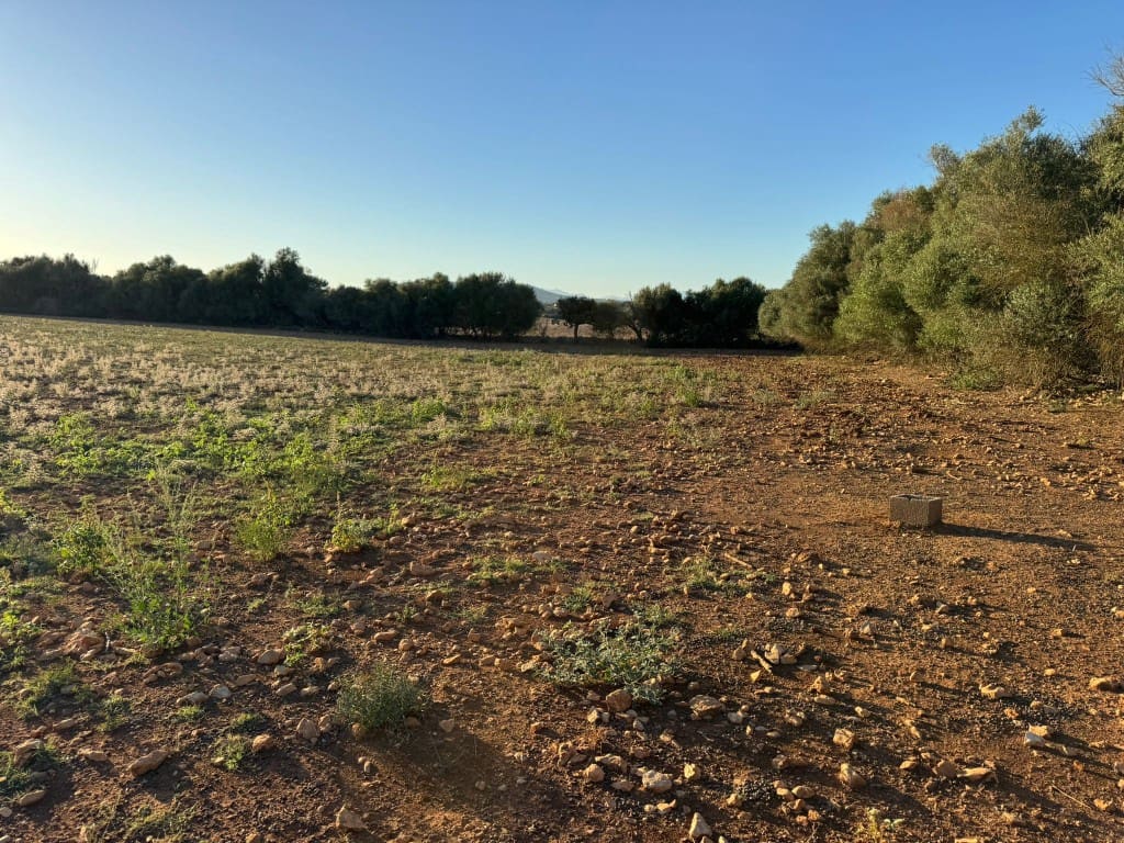 Tontti myytävänä paikassa Vilafranca de Bonany - 295 000 € (Ref: 9550921)