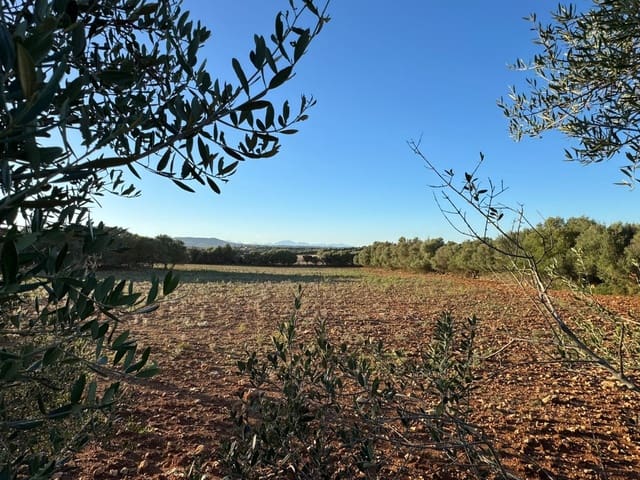 Tontti myytävänä paikassa Vilafranca de Bonany - 295 000 € (Ref: 9550921)