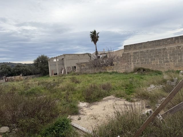 Tontti myytävänä paikassa Artà - 910 000 € (Ref: 9585891)