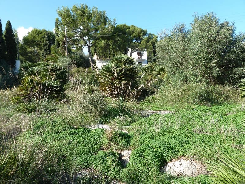 Byggegrund til salg i Font de Sa Cala / Font de La Cala - € 750.000 (Ref: 9726410)