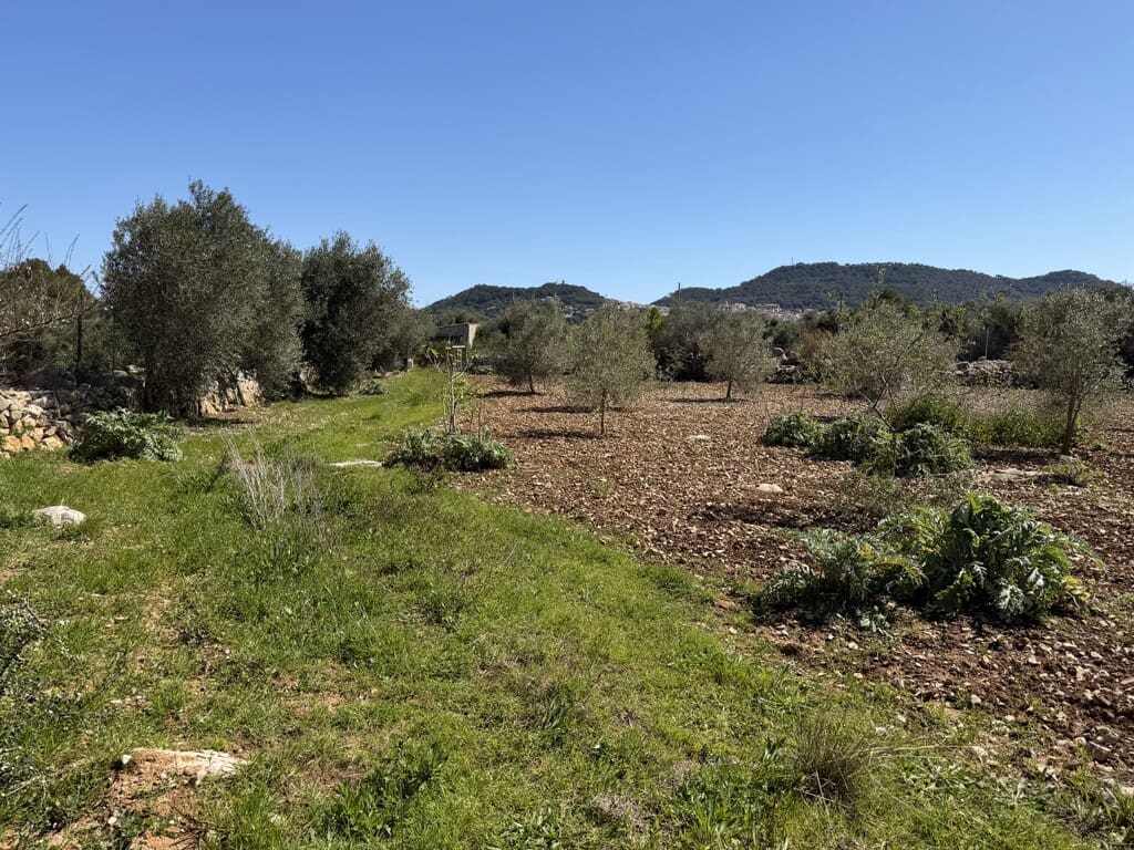 Grond te koop in Capdepera - € 50.000 (Ref: 9777835)