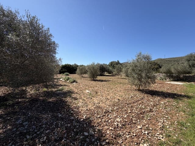 Grond te koop in Capdepera - € 50.000 (Ref: 9777835)