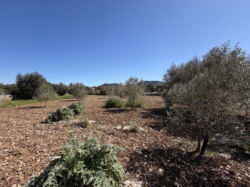 Grond te koop in Capdepera - € 50.000 (Ref: 9777835)