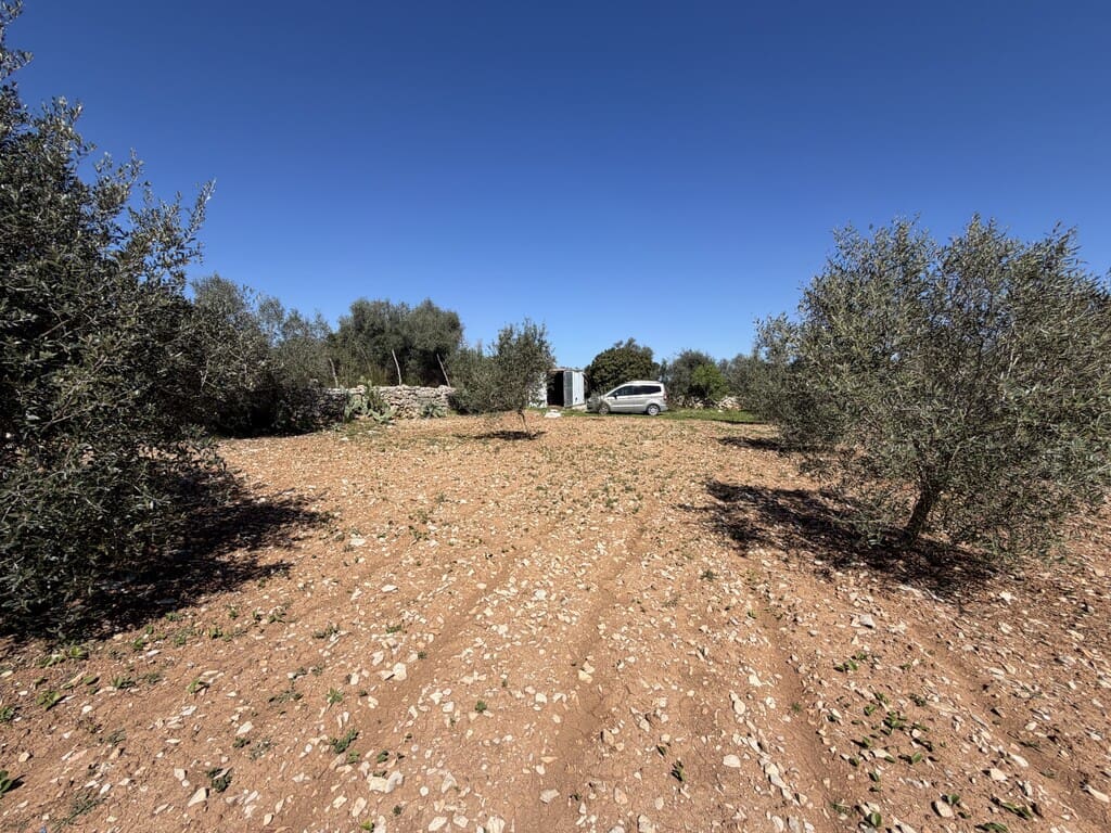 Grond te koop in Capdepera - € 50.000 (Ref: 9777835)