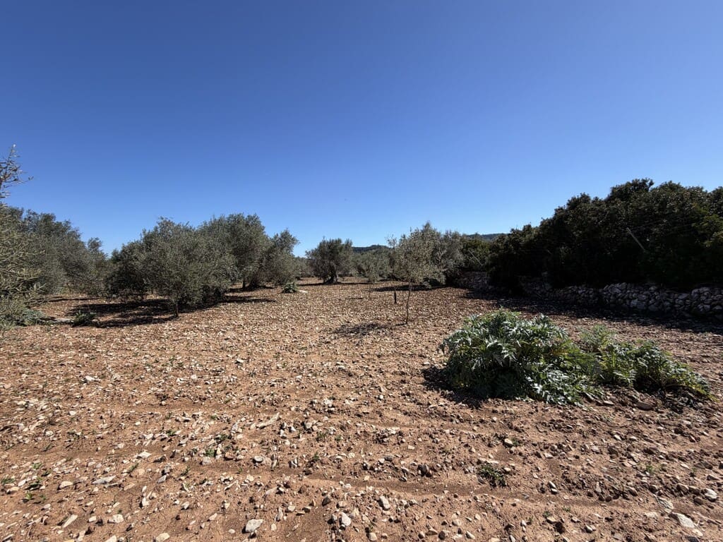 Grond te koop in Capdepera - € 50.000 (Ref: 9777835)