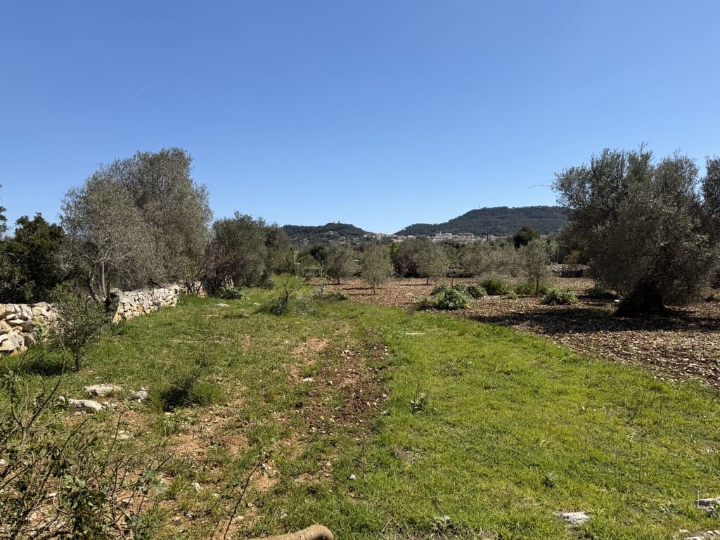 Grond te koop in Capdepera - € 50.000 (Ref: 9777835)