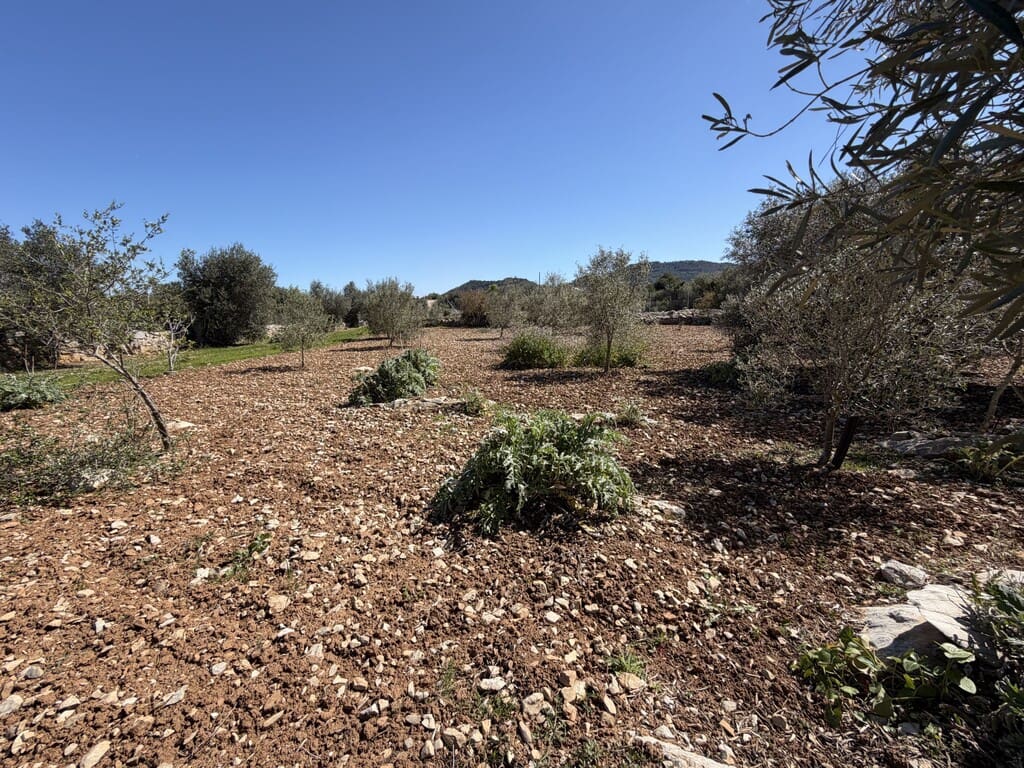 Grond te koop in Capdepera - € 50.000 (Ref: 9777835)