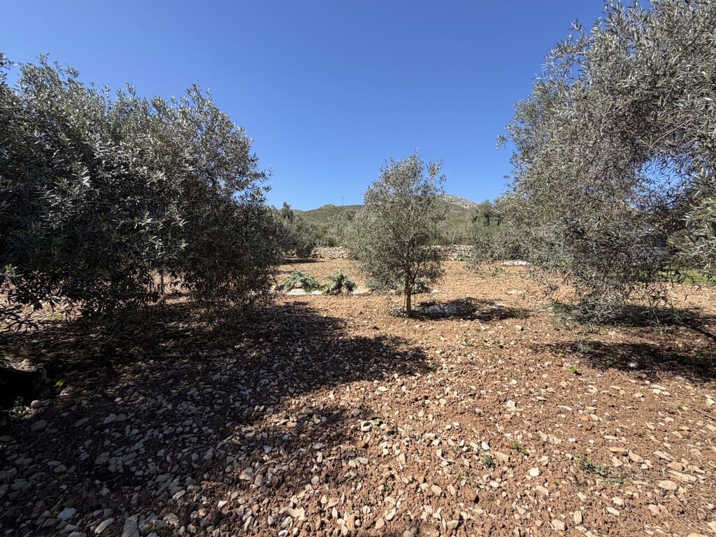 Grond te koop in Capdepera - € 50.000 (Ref: 9777835)