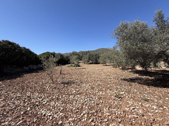 Grond te koop in Capdepera - € 50.000 (Ref: 9777835)