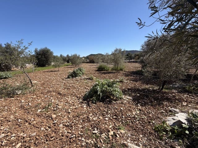 Grond te koop in Capdepera - € 50.000 (Ref: 9777835)