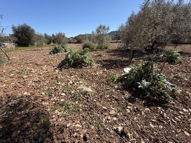 Grond te koop in Capdepera - € 50.000 (Ref: 9777835)