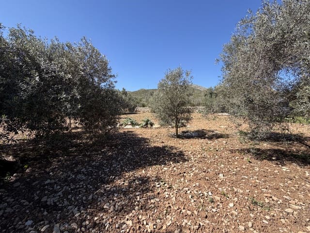 Grond te koop in Capdepera - € 50.000 (Ref: 9777835)