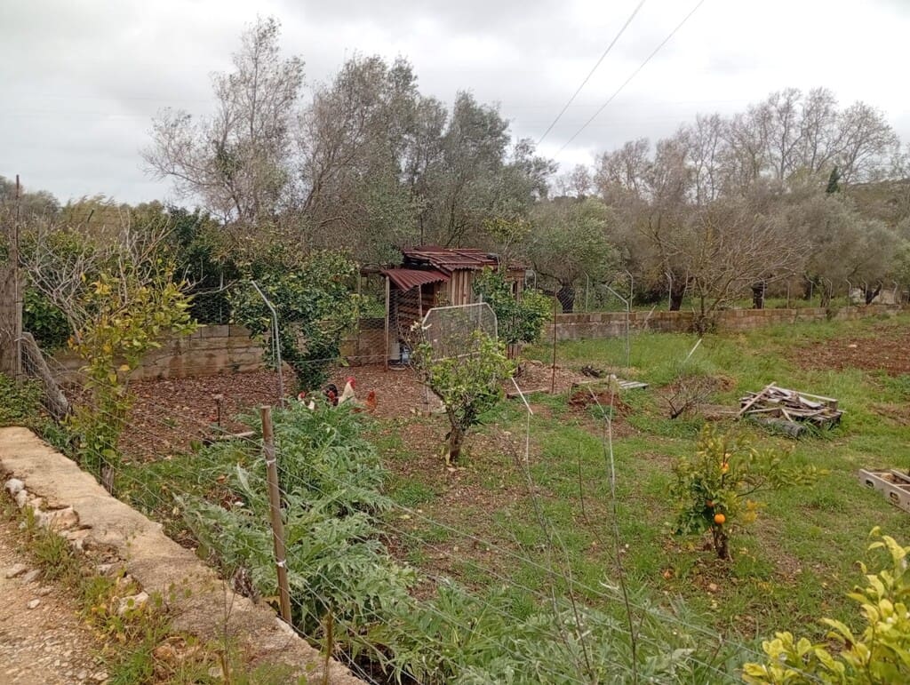 Bouwgrond te koop in Capdepera - € 45.000 (Ref: 9780304)