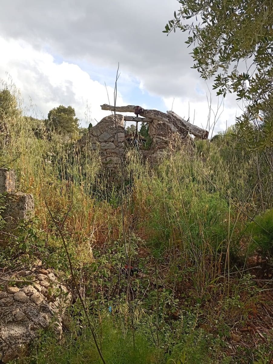 Terrain à Bâtir à vendre à Capdepera - 45 000 € (Ref: 9780304)