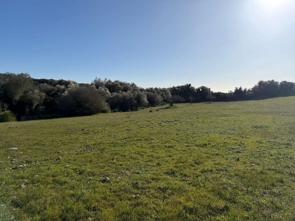 Finca/Landehus til salg i Arta - € 350.000 (Ref: 9796847)