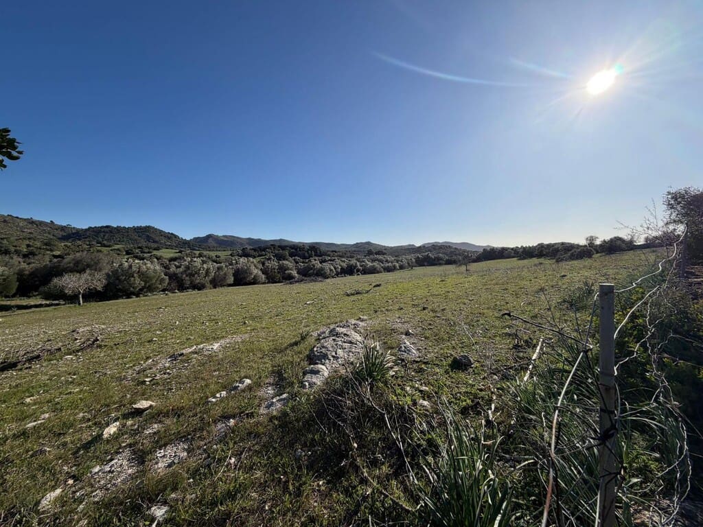 Finca/Landehus til salg i Arta - € 350.000 (Ref: 9796847)