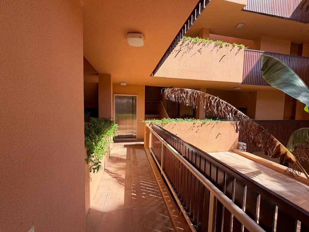 2 bedroom Apartment for rent in Cala Bona with pool - € 1,500 (Ref: 9880732)
