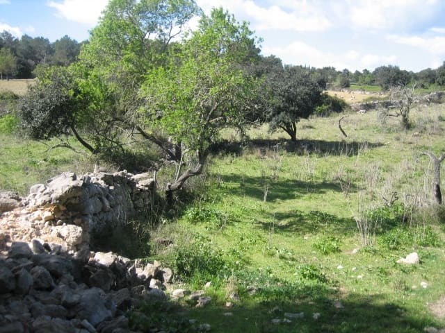 Building Plot for sale in Arta - € 110,000 (Ref: 9904163)