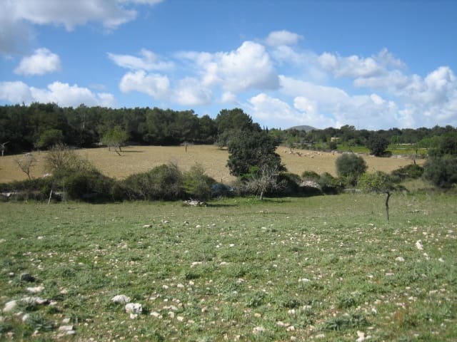 Building Plot for sale in Arta - € 110,000 (Ref: 9904163)
