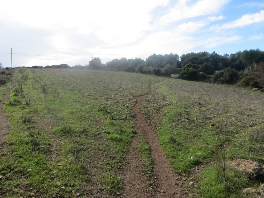 Building Plot for sale in Arta - € 110,000 (Ref: 9904163)