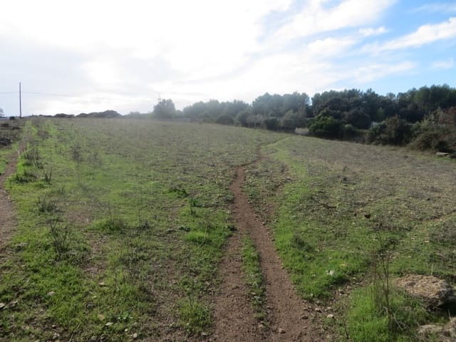 Building Plot for sale in Artà - € 110,000 (Ref: 9904163)
