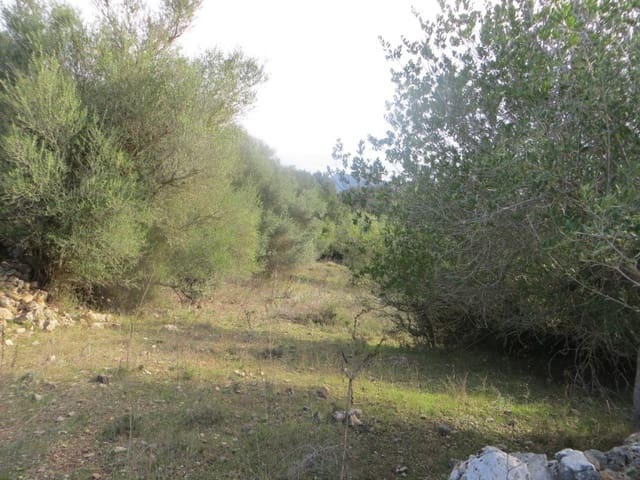 Building Plot for sale in Artà - € 110,000 (Ref: 9904163)