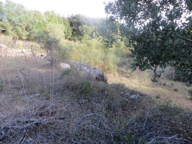 Building Plot for sale in Artà - € 110,000 (Ref: 9904163)