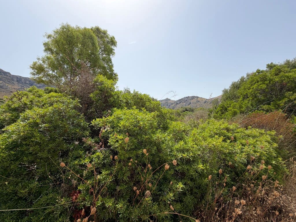 Building Plot for sale in Arta - € 450,000 (Ref: 9976905)