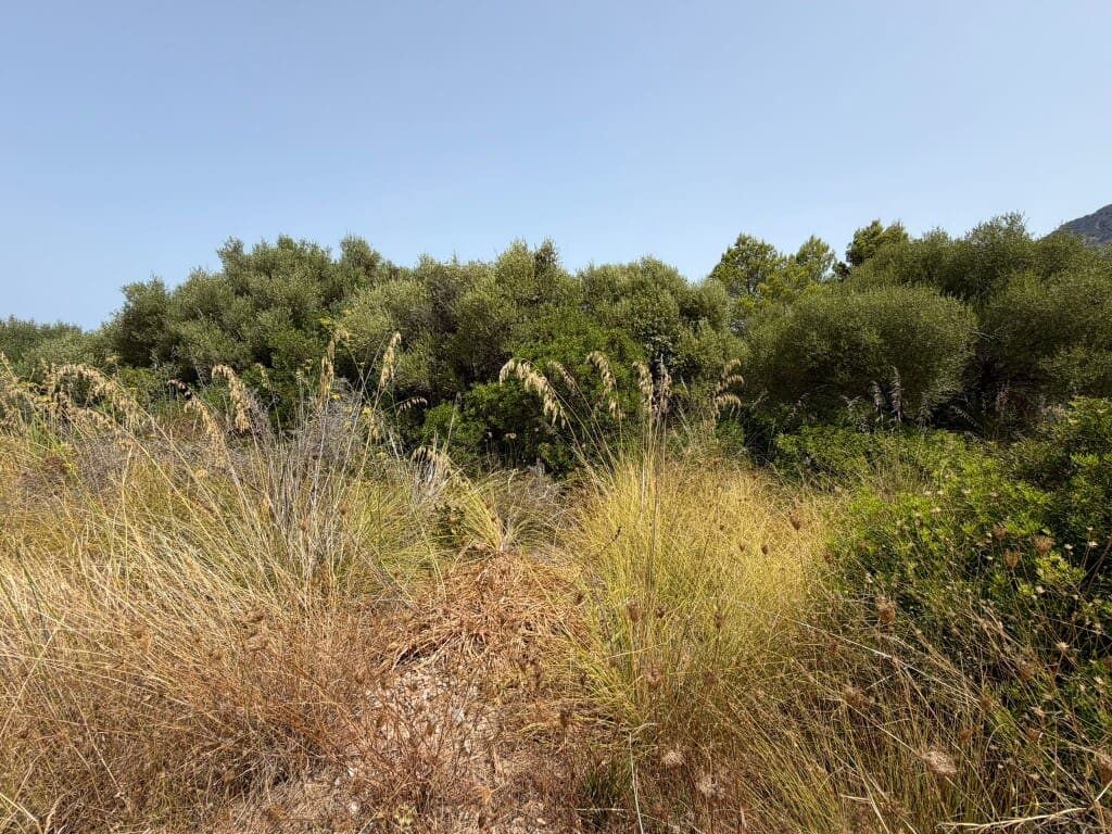 Building Plot for sale in Arta - € 450,000 (Ref: 9976905)
