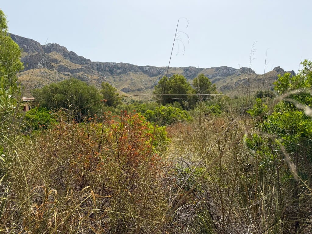 Building Plot for sale in Arta - € 450,000 (Ref: 9976905)
