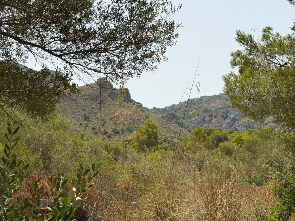 Building Plot for sale in Arta - € 450,000 (Ref: 9976905)