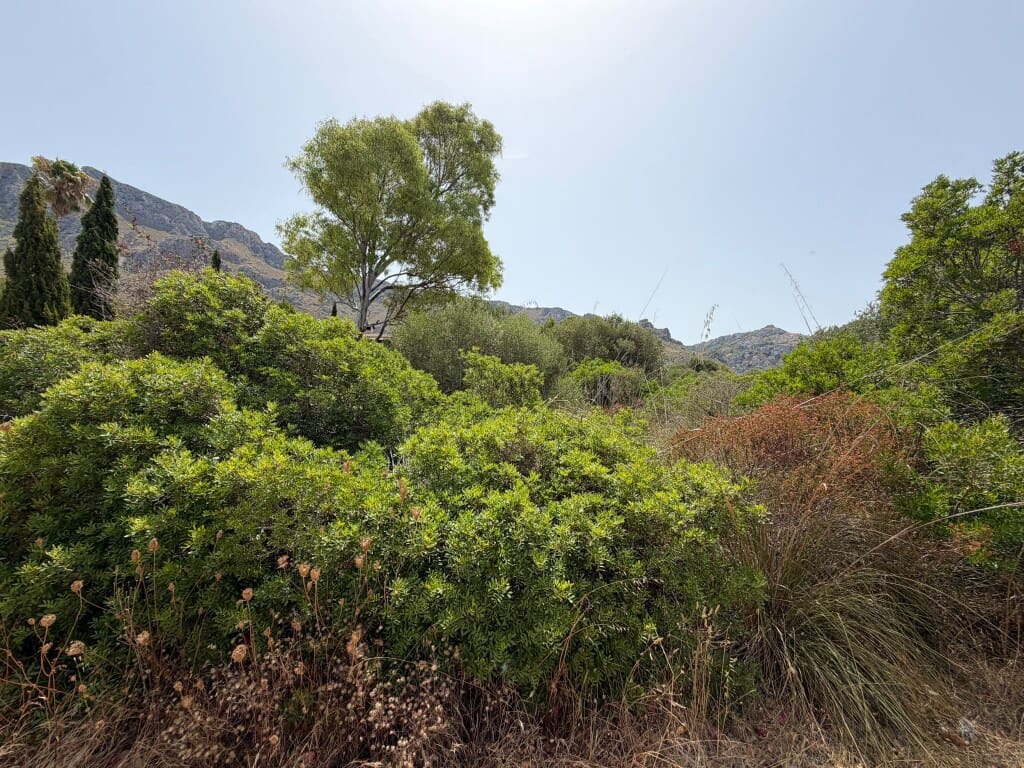 Building Plot for sale in Arta - € 450,000 (Ref: 9976905)